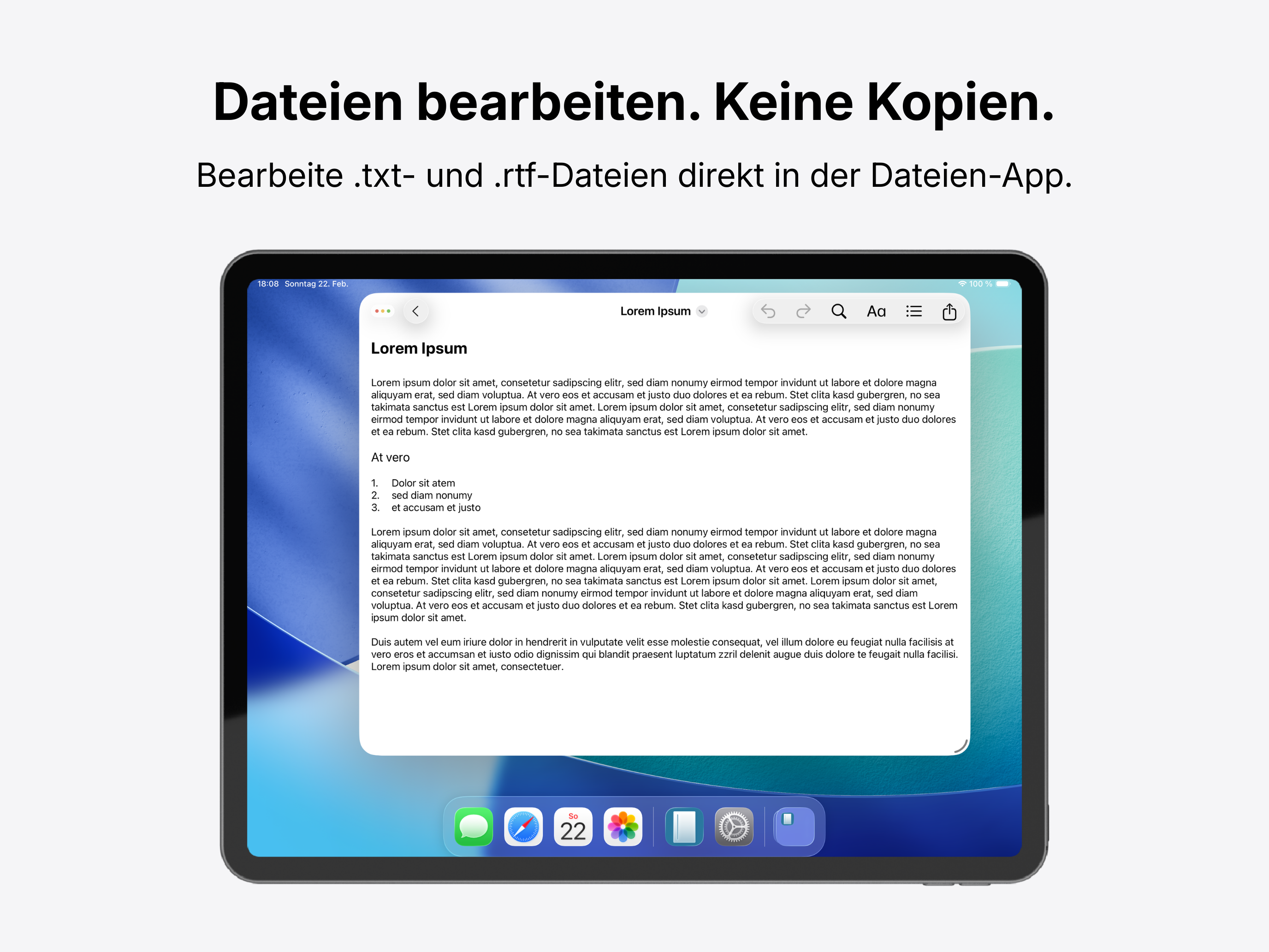 BareText Screenshot – Textbearbeitung