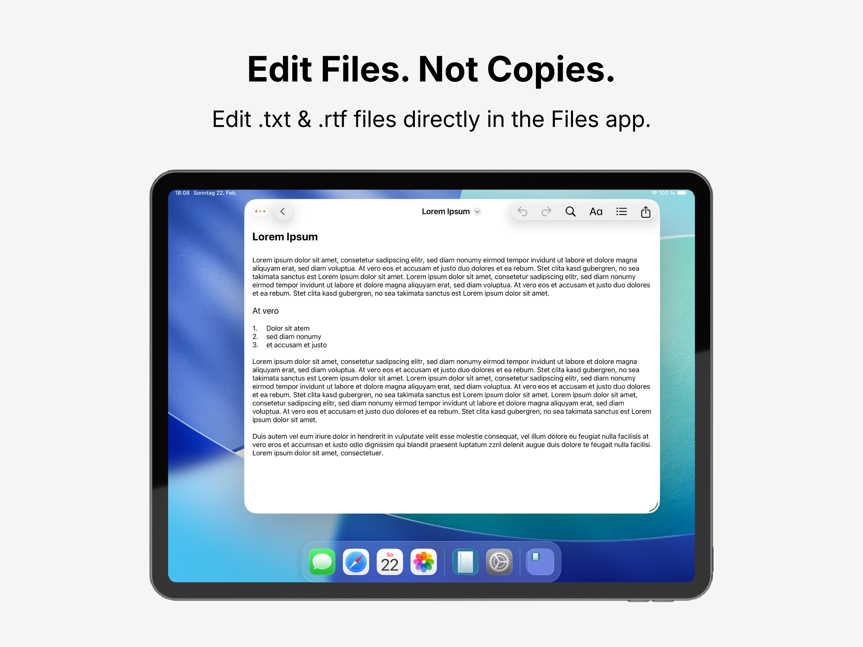 BareText Screenshot – Text Editing