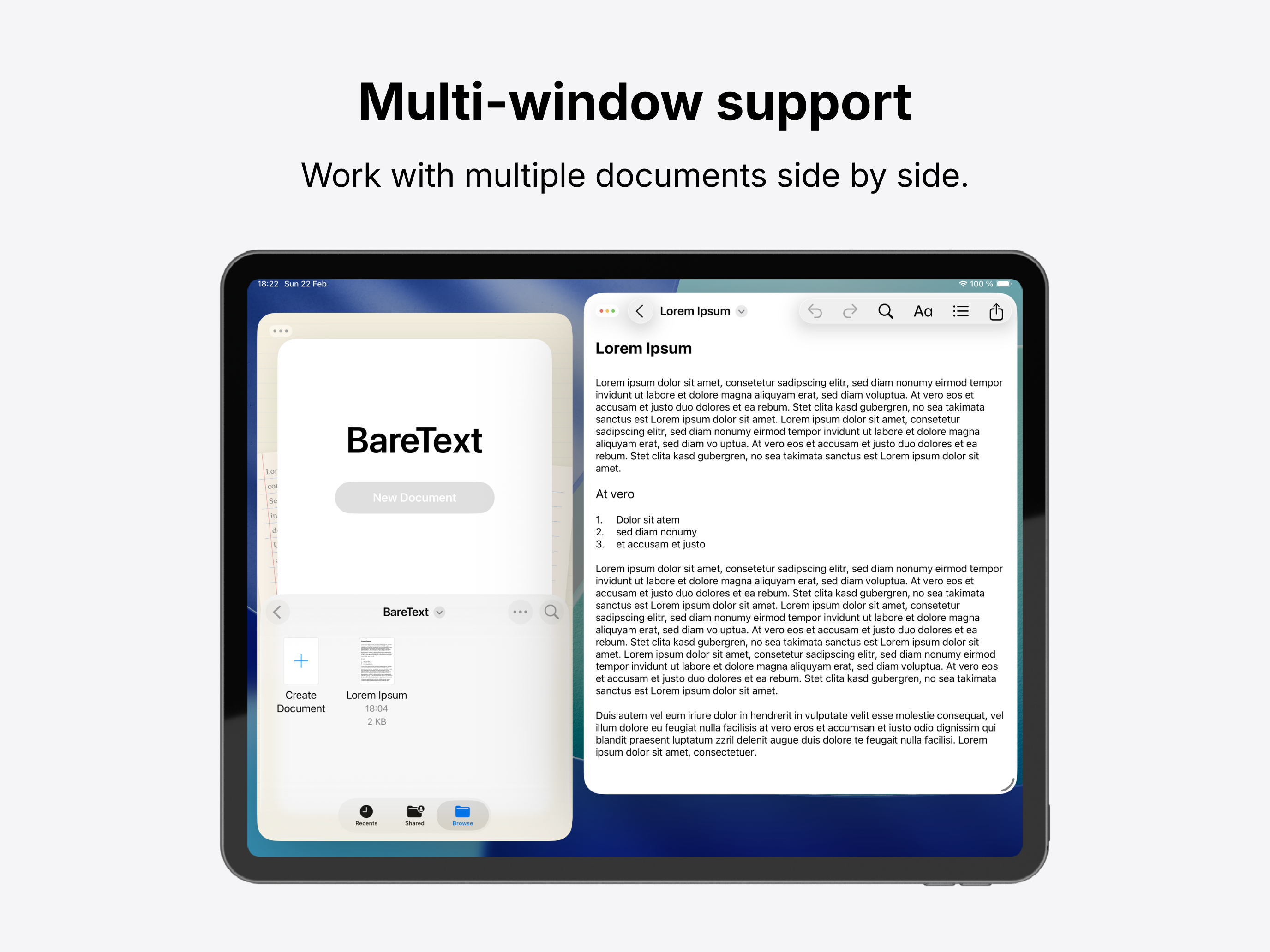 BareText Screenshot – Formatting